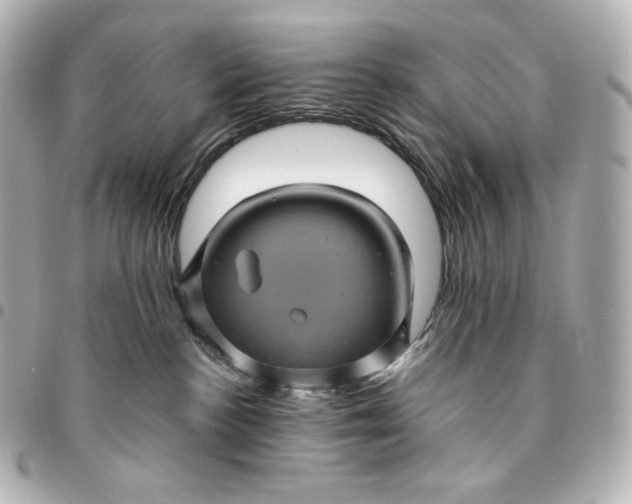 X0000095530188200712281530