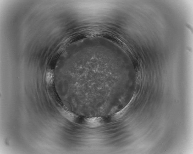 X0000095530191200712281530