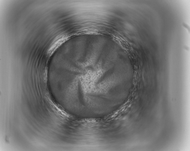 X0000095530194200712281529