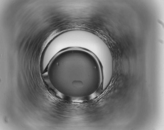 X0000095530195200712281529