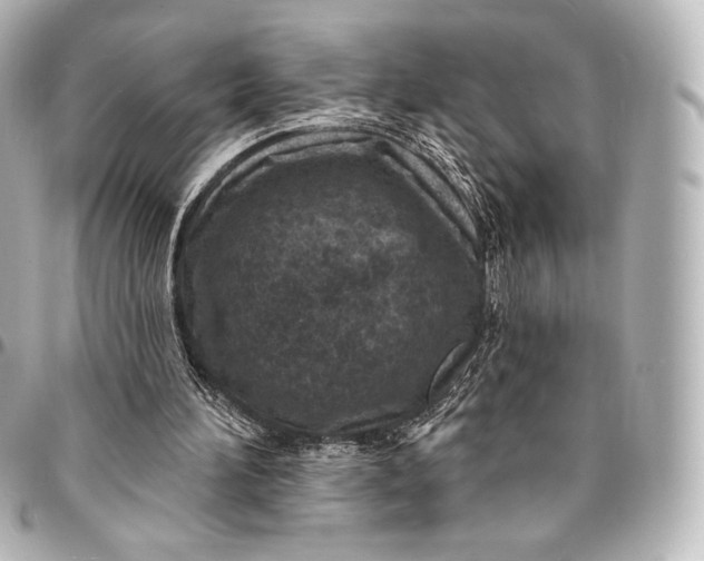 X0000095530196200712281529