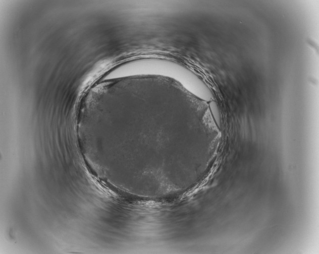 X0000095530197200712281529
