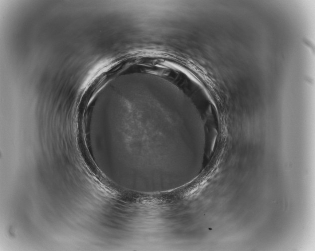 X0000095530199200712281529