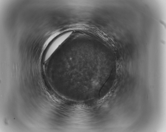 X0000095530200200712281529