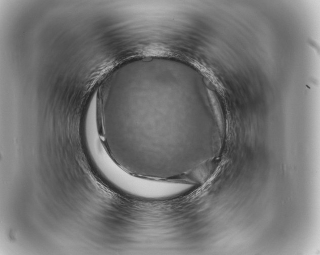 X0000095530201200712281529