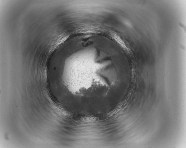 X0000095530202200712281529