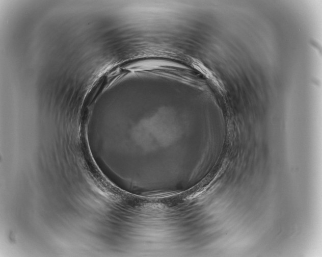 X0000095530203200712281529
