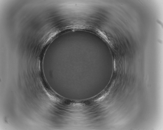 X0000095530205200712281529