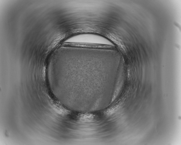 X0000095530206200712281529