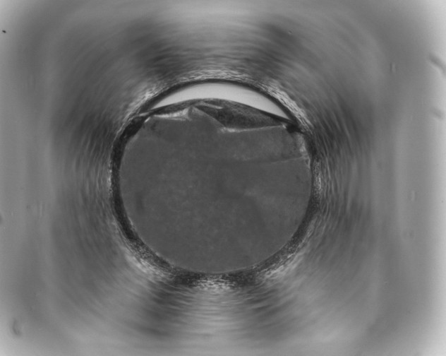 X0000095530207200712281529