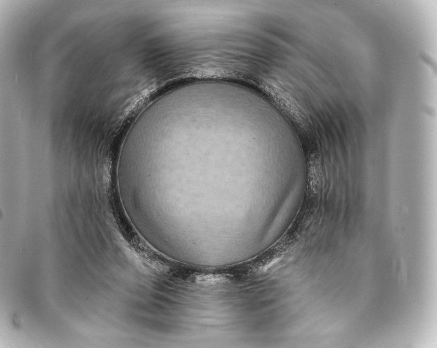 X0000095530208200712281529