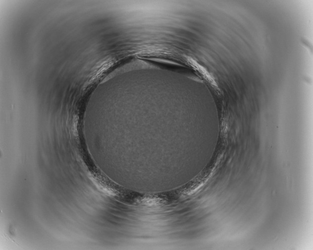 X0000095530209200712281529