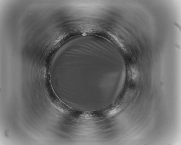 X0000095530211200712281529