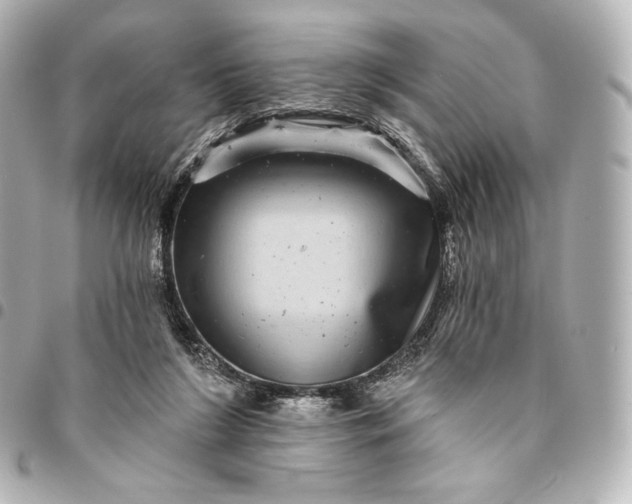 X0000095530212200712281529