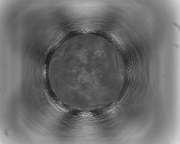X0000095530214200712281529