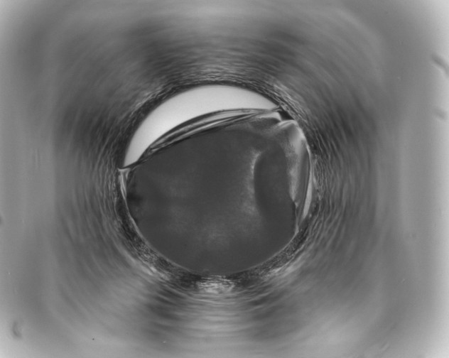 X0000095530215200712281529