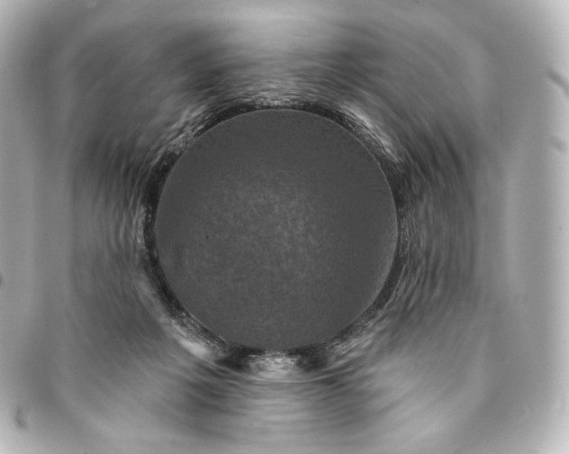 X0000095530217200712281529