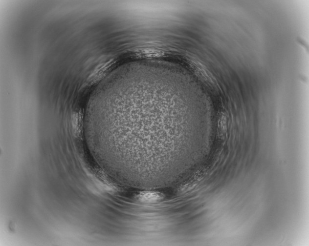 X0000095530218200712281529