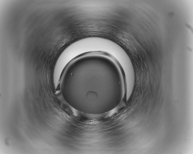 X0000095530219200712281529