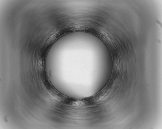 X0000095530220200712281529