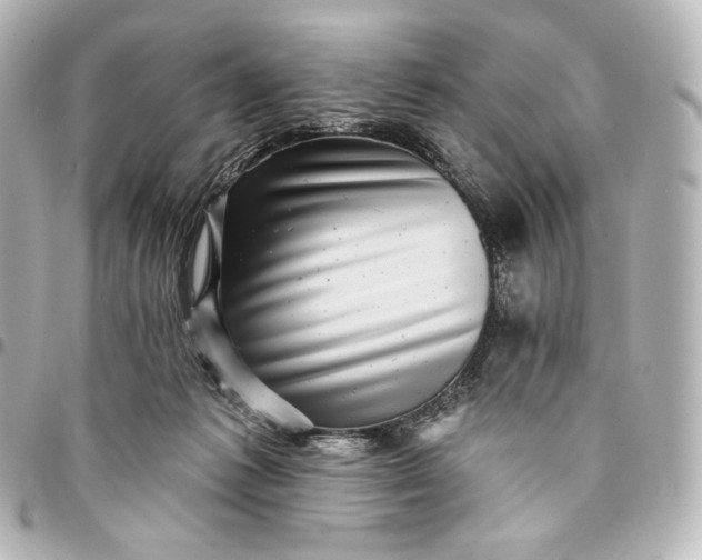 X0000095530221200712281529