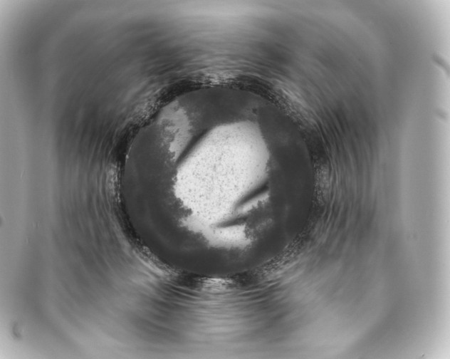 X0000095530222200712281529