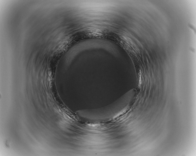 X0000095530223200712281529