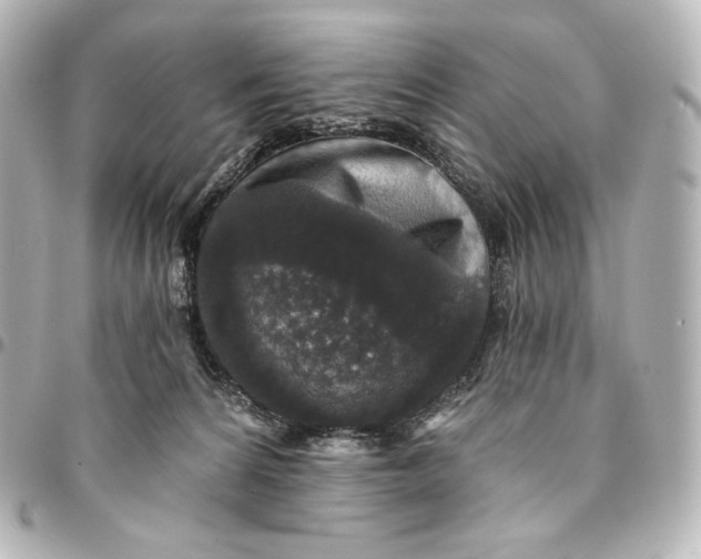 X0000095530224200712281529
