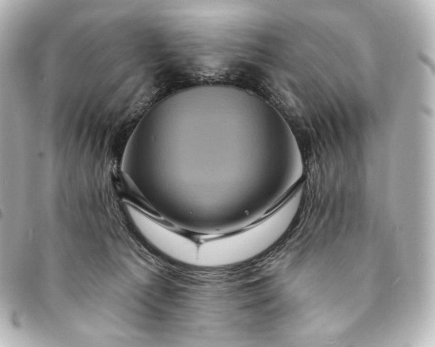 X0000095530225200712281529