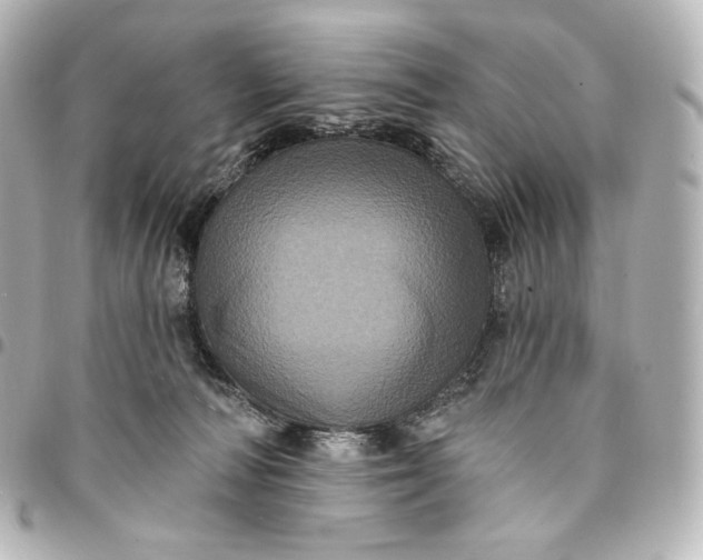 X0000095530226200712281529