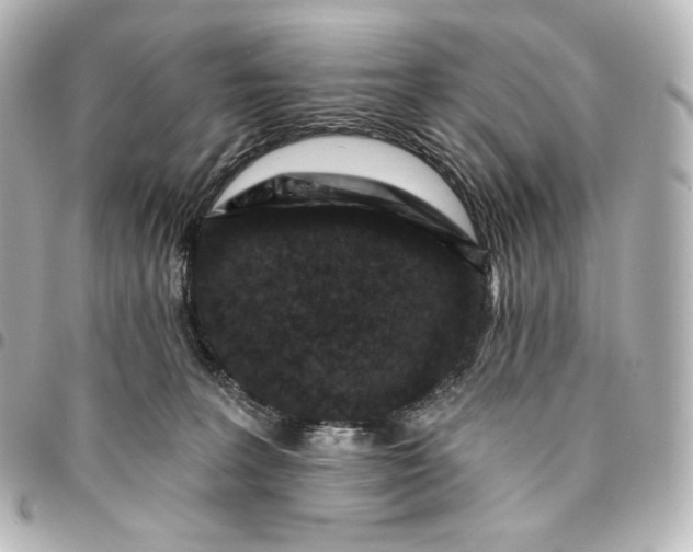 X0000095530227200712281529