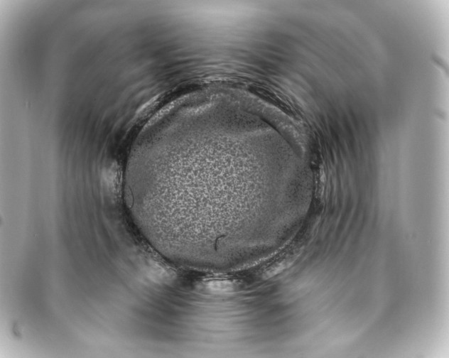 X0000095530228200712281528