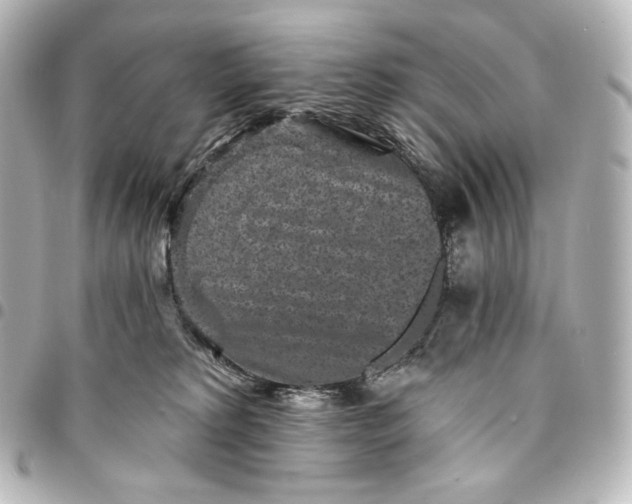 X0000095530229200712281528