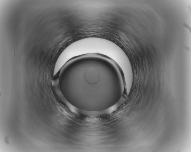 X0000095530231200712281528