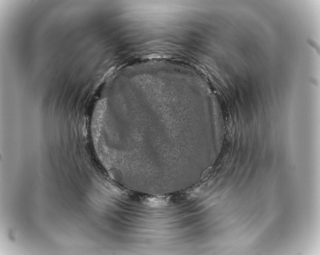 X0000095530232200712281528