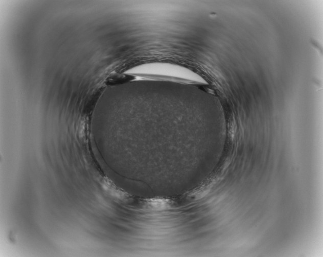 X0000095530233200712281528