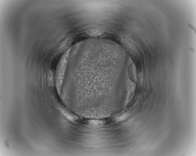 X0000095530234200712281528