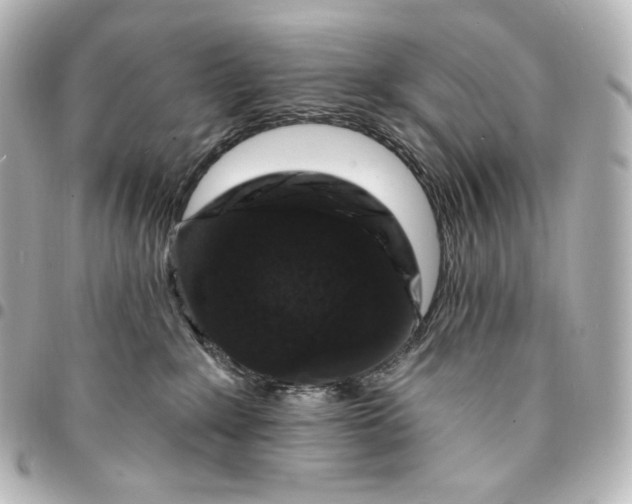 X0000095530235200712281528