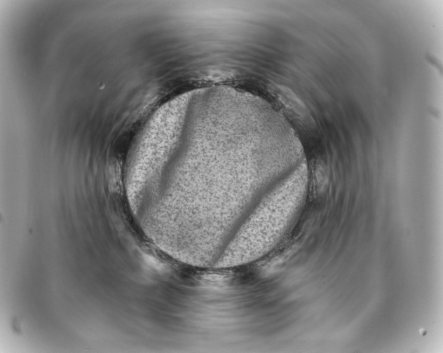 X0000095530236200712281528