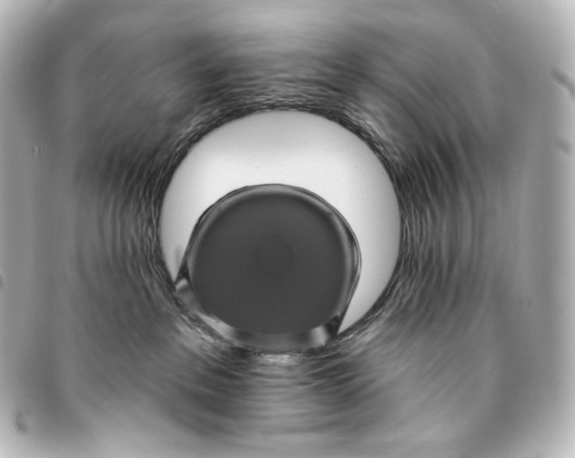 X0000095530237200712281528