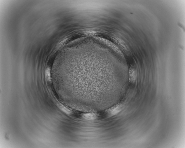 X0000095530238200712281528