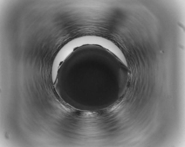 X0000095530239200712281528