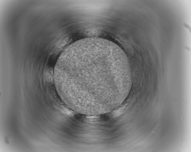 X0000095530240200712281528