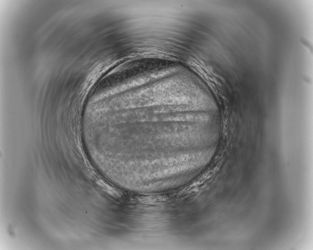 X0000095530241200712281528