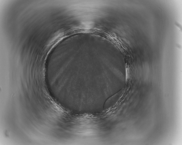 X0000095530243200712281528