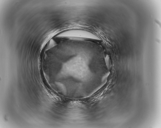 X0000095530244200712281528