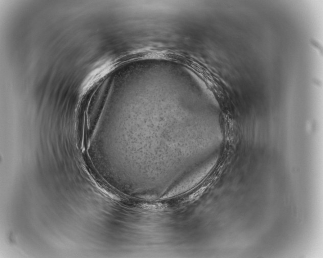 X0000095530245200712281528