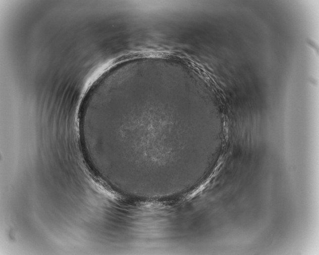 X0000095530246200712281528