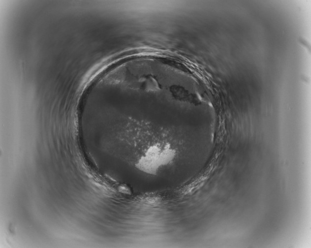 X0000095530247200712281528