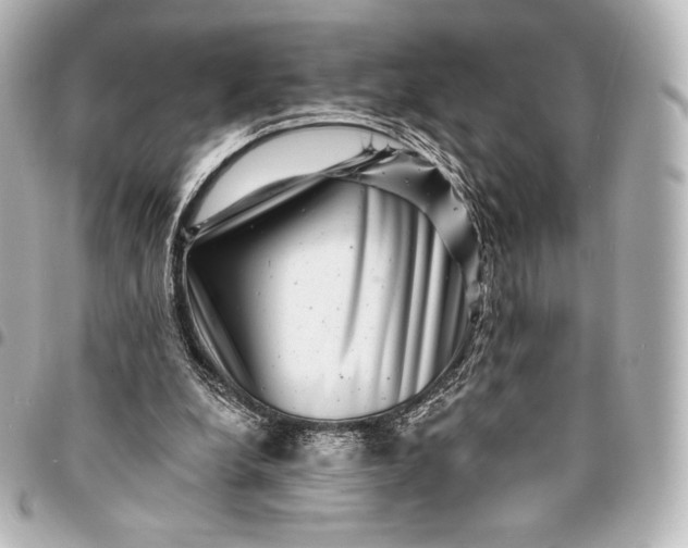 X0000095530248200712281528